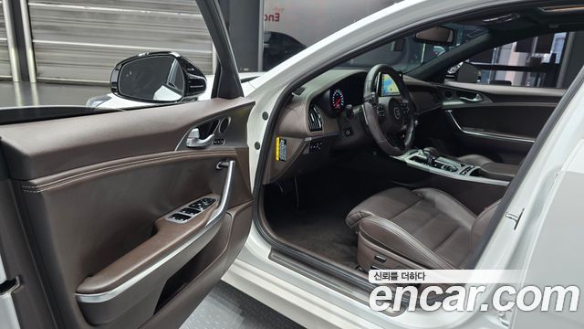 Kia Stinger 2.0 Turbo 2WD Platinum 2019 — фото 10