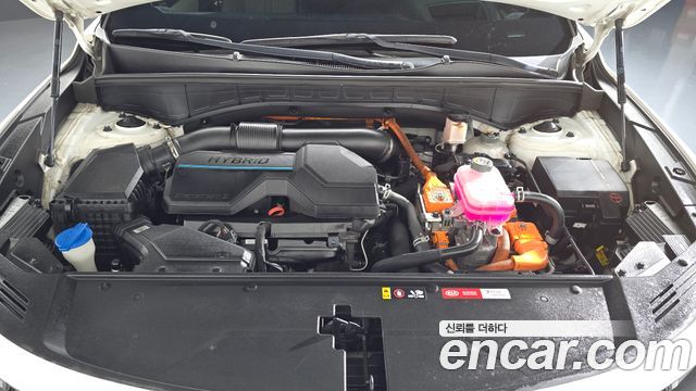 Kia Sorento (IV) HEV 1.6 4WD Gravity 2021 — фото 6