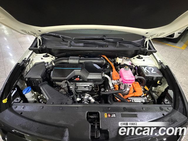 Kia Sportage Hybrid (V) 30Th Edition 2WD 2024 — фото 22