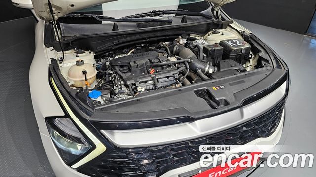 Kia Sportage (V) Gasoline 1.6 Turbo 2WD Trendy 2022 — фото 6