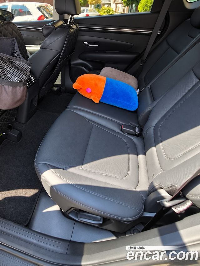 Hyundai Tucson (NX4) Gasoline 1.6 Turbo 2WD Premium 2023 — фото 6