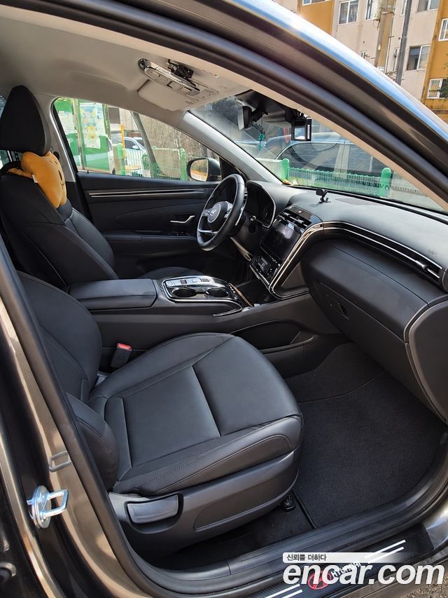 Hyundai Tucson (NX4) Gasoline 1.6 Turbo 2WD Premium 2023 — фото 7