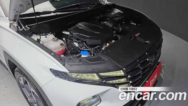 Hyundai Tucson (NX4) Diesel 2.0 2WD Inspiration 2023 — фото 6