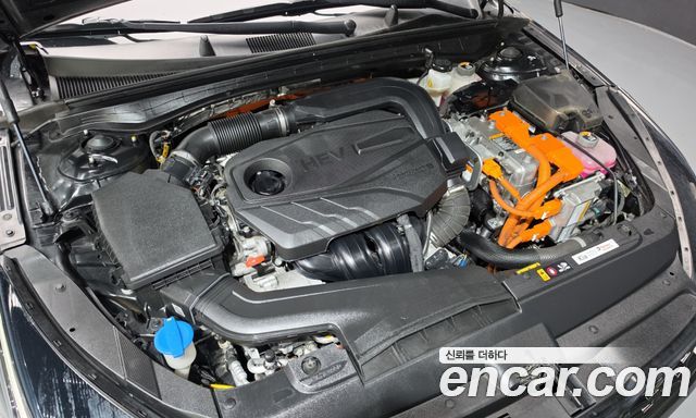 Kia K5 Hybrid (III) Noblesse 2022 — фото 6