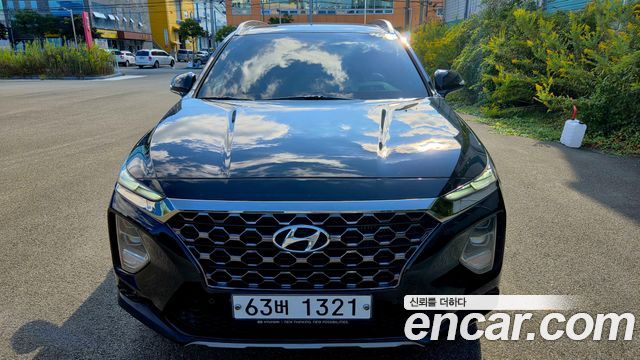Hyundai Santa Fe (TM) Diesel 2.0 2WD Exclusive Special 2019 — фото 3