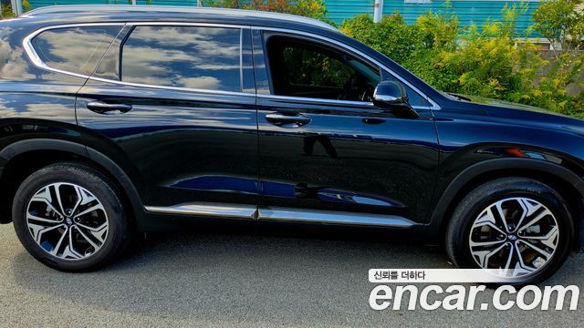 Hyundai Santa Fe (TM) Diesel 2.0 2WD Exclusive Special 2019 — фото 5