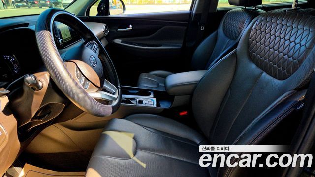 Hyundai Santa Fe (TM) Diesel 2.0 2WD Exclusive Special 2019 — фото 6