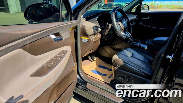 Hyundai Santa Fe (TM) Diesel 2.0 2WD Exclusive Special 2019 — фото 7