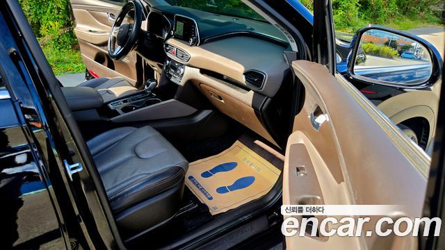 Hyundai Santa Fe (TM) Diesel 2.0 2WD Exclusive Special 2019 — фото 18