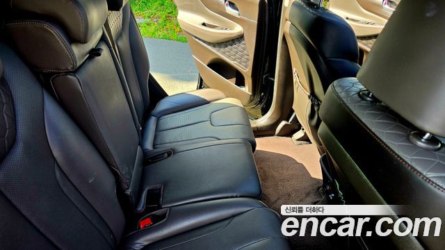 Hyundai Santa Fe (TM) Diesel 2.0 2WD Exclusive Special 2019 — фото 21