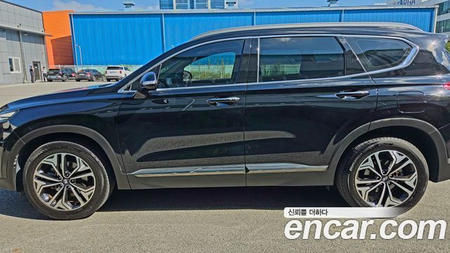 Hyundai Santa Fe (TM) Diesel 2.0 2WD Exclusive Special 2019 — фото 22