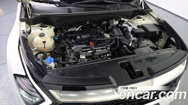 Kia Sportage (V) Gasoline 1.6 Turbo 2WD Nobleless 2022 — фото 6