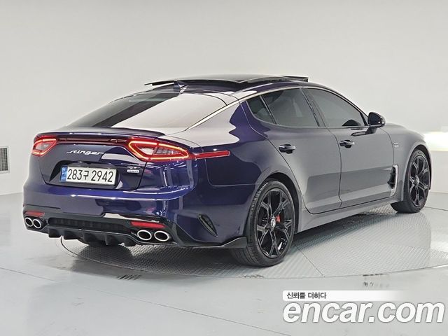 Kia Stinger 2.0 Turbo AWD Platinum 2019 — фото 4