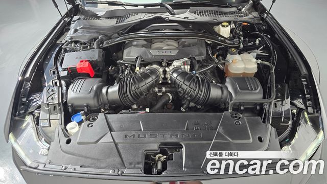 Ford Mustang (VII) 5.0 GT Premium Coupe 2024 — фото 6