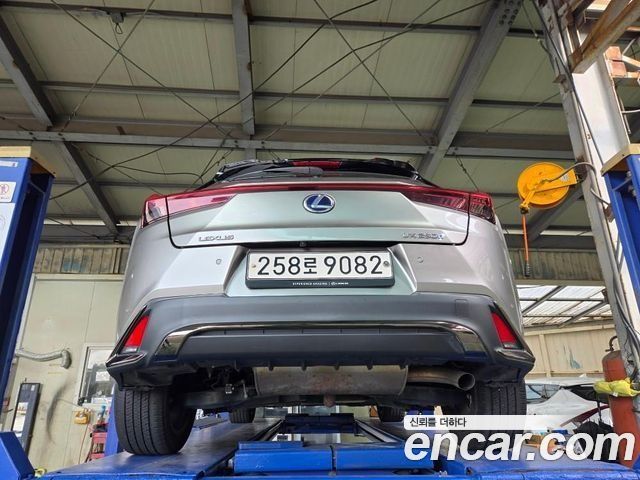 Lexus UX250h 2.0 F-Sport 2WD 2020 — фото 2