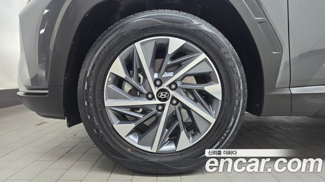 Hyundai Tucson (NX4) Diesel 2.0 2WD Premium 2023 — фото 5