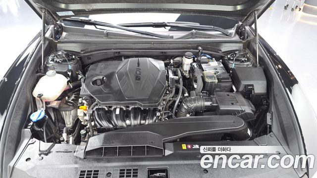 Hyundai Grandeur (GN7) 2,5 Gasoline 2WD Calligraphy 2023 — фото 6