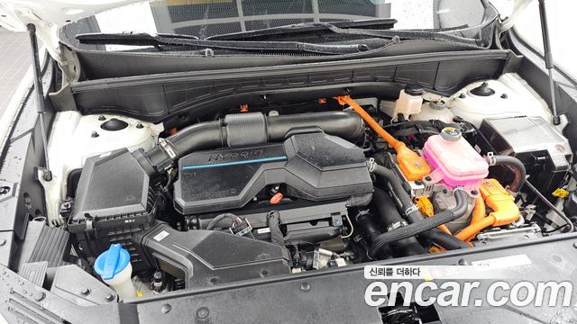 Kia Sorento (IV) HEV 1.6 2WD Gravity 2022 — фото 6