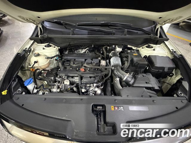 Kia Sportage (V) Gasoline 1.6 Turbo 2WD Nobleless 2022 — фото 22