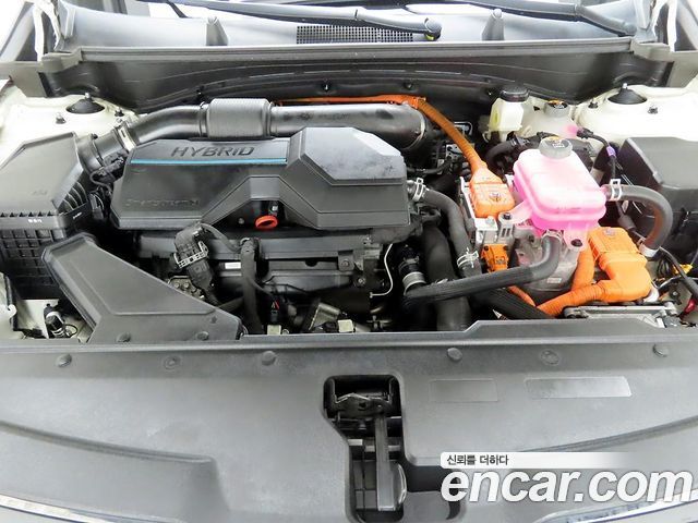 Kia Sportage Hybrid (V) Nobleless 2WD 2024 — фото 24