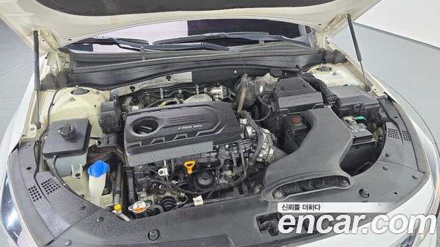Kia K5 (II) 1.7 Diesel MX Prestige 2018 — фото 6