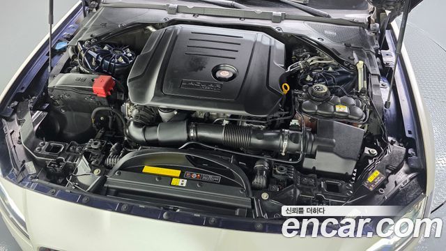 Jaguar XF (X260) 20d Portfolio AWD 2017 — фото 6