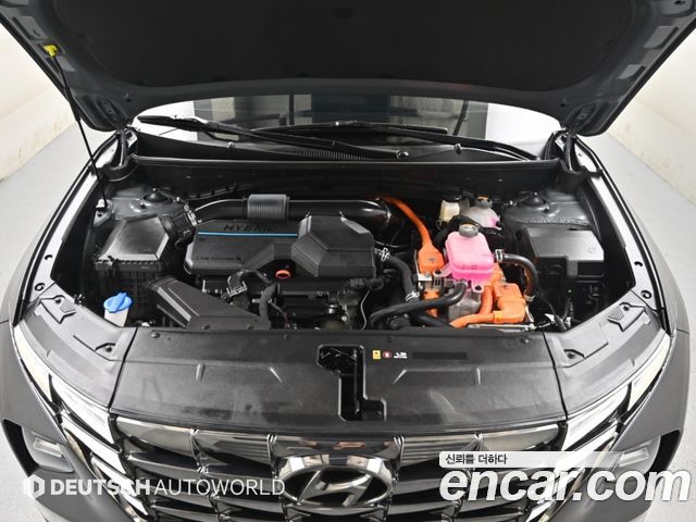 Hyundai Tucson Hybrid (NX4) Modern 2WD 2023 — фото 6