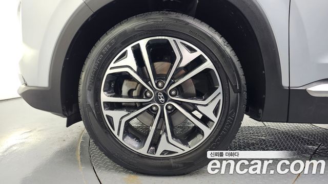 Hyundai Santa Fe (TM) Diesel 2.0 2WD Exclusive Special 2019 — фото 5