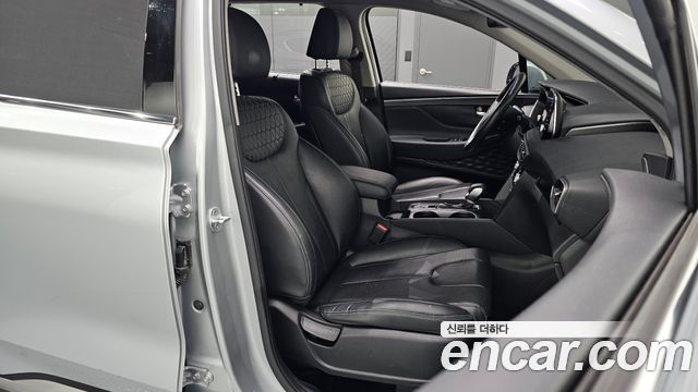Hyundai Santa Fe (TM) Diesel 2.0 2WD Exclusive Special 2019 — фото 12
