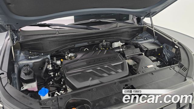 Hyundai Palisade Diesel 2.2 2WD Le Blanc 2024 — фото 6