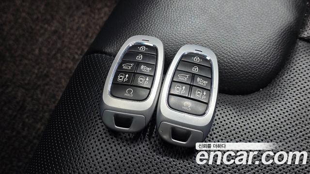 Hyundai Palisade Diesel 2.2 2WD Le Blanc 2024 — фото 15