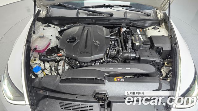 Hyundai Sonata (DN8) 2.0 Premium Plus 2022 — фото 6