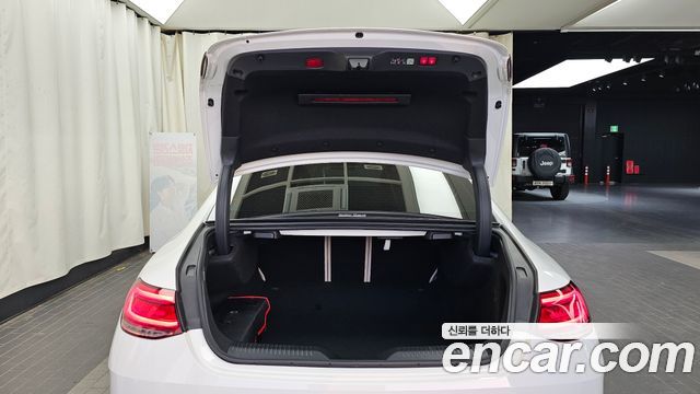 Mercedes-Benz CLS-Class (C257) CLS300d 4MATIC 2023 — фото 20