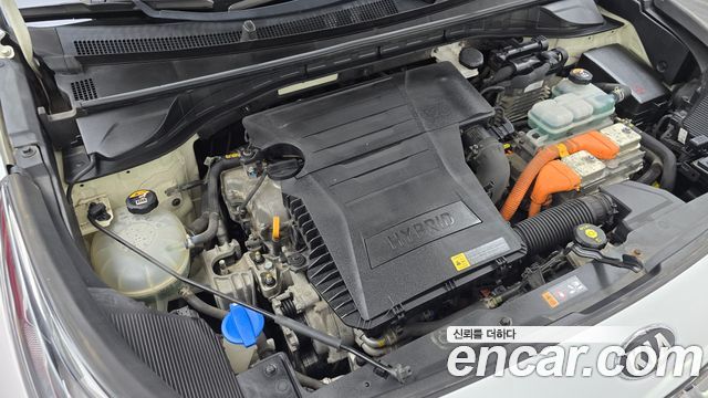 Kia Niro 1.6 HEV Noblesse 2020 — фото 6