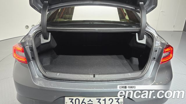 Renault Korea SM6 2.0 GDe Premiere 2020 — фото 35