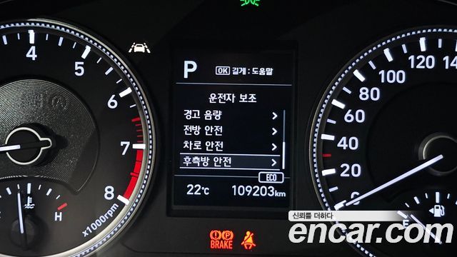 Hyundai Santa Fe (TM) Gasoline 2.0T 2WD Premium 2019 — фото 17