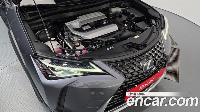 Lexus UX250h 2.0 2WD 2019 — фото 6