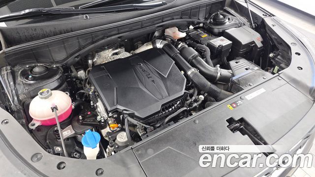 Kia Sorento (IV) Gasoline 2.5T 4WD Noblesse 2024 — фото 6