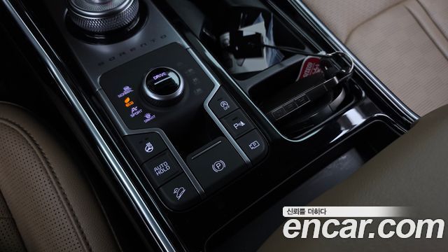 Kia Sorento (IV) Gasoline 2.5T 4WD Noblesse 2024 — фото 17