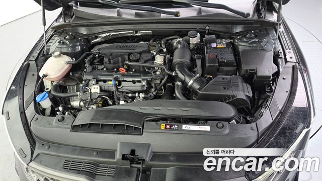 Kia K5 (III) 1.6 Turbo Noblesse 2023 — фото 6