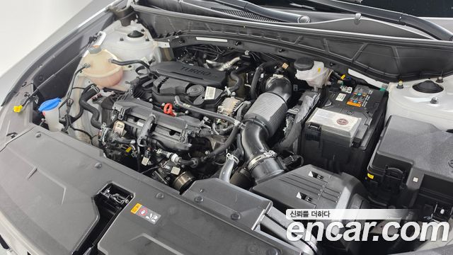 Hyundai Tucson (NX4) Gasoline 1.6 Turbo 2WD Premium 2024 — фото 6