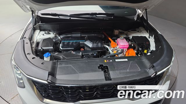 Kia Sorento (IV) HEV 1.6 2WD Noblesse 2024 — фото 6