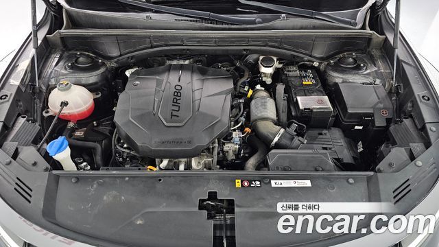 Kia Sorento (IV) Diesel 2.2 2WD Trendy 2023 — фото 6