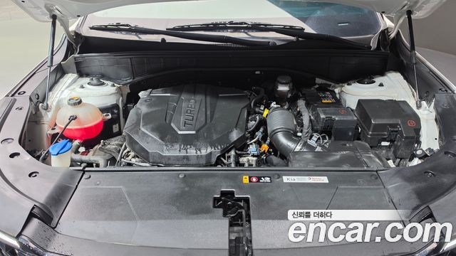 Kia Sorento (IV) Diesel 2.2 2WD Noblesse 2024 — фото 6