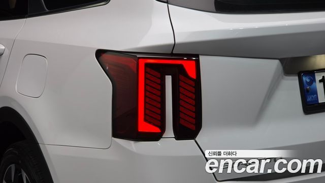 Kia Sorento (IV) Diesel 2.2 2WD Noblesse 2024 — фото 23