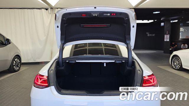 Mercedes-Benz CLS-Class (C257) CLS300d 4MATIC 2023 — фото 20