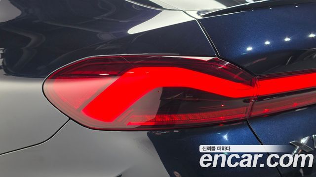 BMW X6 (G06) xDrive40i M Sports Online Exclusive Edition 2021 — фото 23