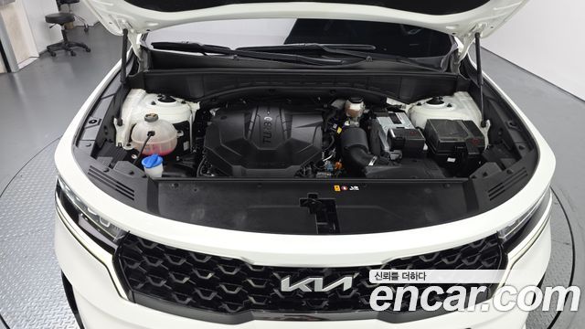 Kia Sorento (IV) Diesel 2.2 2WD Trendy 2023 — фото 6