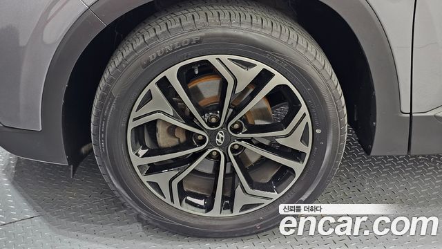 Hyundai Santa Fe (TM) Diesel 2.0 2WD Exclusive 2019 — фото 5