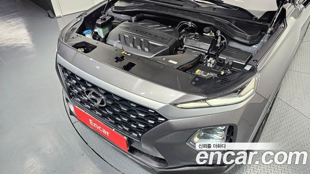 Hyundai Santa Fe (TM) Diesel 2.0 2WD Exclusive 2019 — фото 6